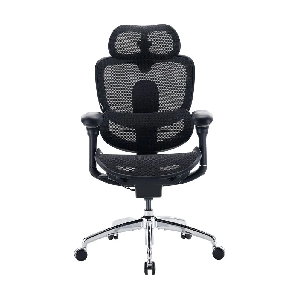 Sihoo Doro C300 Pro Ergonomic Chair