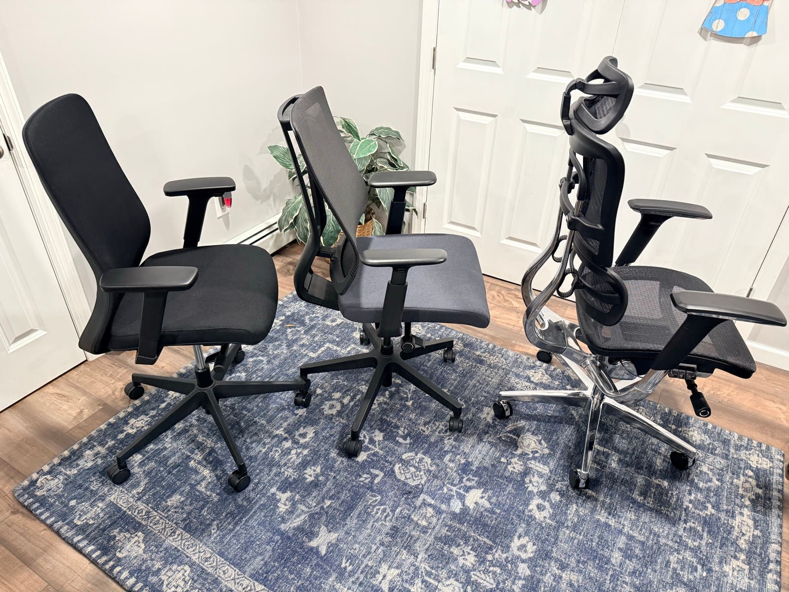 UPLIFT Bolan, Clarksville, and Intuition chairs lined up at angle