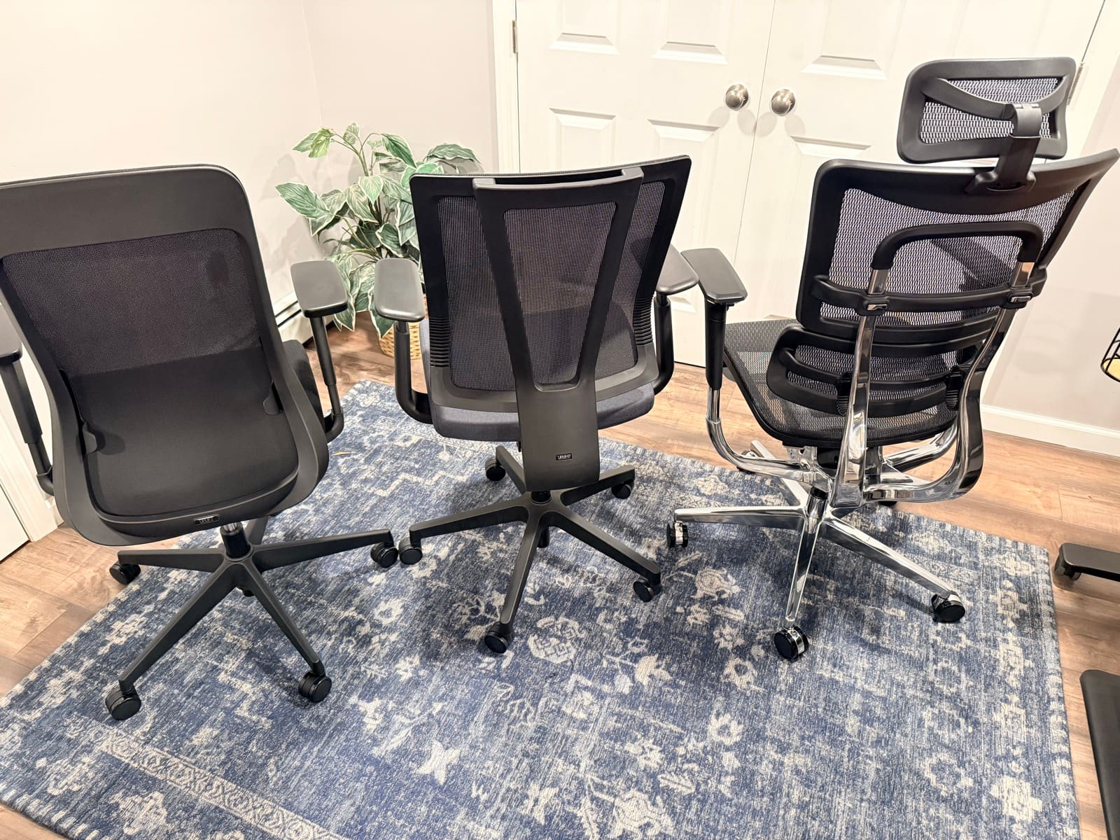 Three UPLIFT ergonomic chairs lined up for comparison